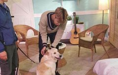 이거 원본 출처 어딘지 아는 이삐,,