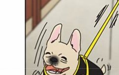 연애혁명 상식이