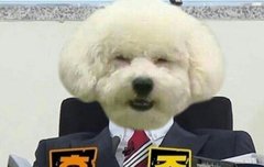 난 메인 댄서다