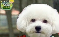 야 포지션 정해