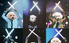 일단 포지션 이렇게 ㄱㄱ