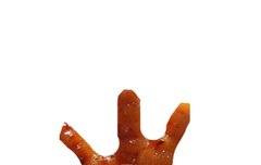 응원봉 이거 어떰