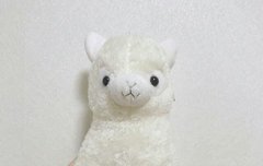 제2외국어 질문좀ㅠ