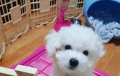 ㅋㅋㅋㅋㅋ아빠해봐