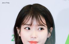 이 사진 개 오지지 않냐