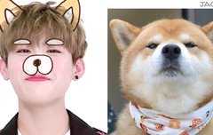 박우진 황구 시리즈