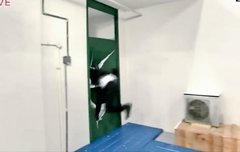 입덕한지 얼마 안됀 람덕 구제 좀ㅠㅠ