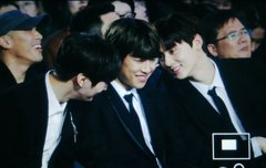 형아들 오구오구 받는 애기돗토링