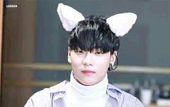 두근두근 실화냥 움짤1