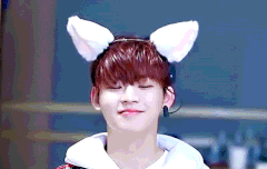 두근두근 실화냥 움짤2