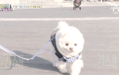 졸린꿈 이 명곡을 널리 널리 알려야 하는데