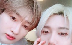 판에는 엘프들 많이 없낭