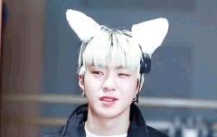 두근두근 실화냥 움짤 - 와이엇