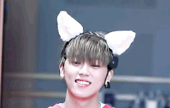 두근두근 실화냥 움짤 - MK