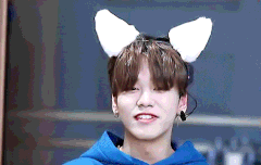 두근두근 실화냥 움짤 - 유