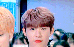 오늘 핑쿠•연청•화이트(하네스) 골고루ㅠㅠ