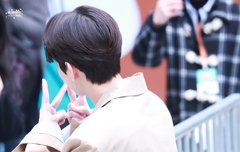 렌 더블유(W)브이 모음