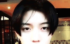 내 최애 움짤들