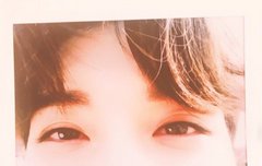 이 사진을 안올리다니