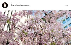 셋이 뭐해ㅋㅋㅋㅋ