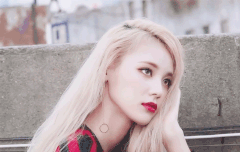 금발즈 분위기 최고존엄