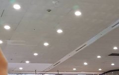 ㅂㅌㅌㄹ 목격담