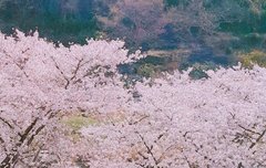 목격담 (ㅎㅎㅎㅎㅎㅎㅎㅎㅎㅎ)