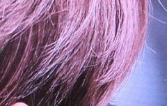 아침부터 보는 애기 볼따구 솜털이