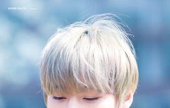 캠퍼스요정 박지훈