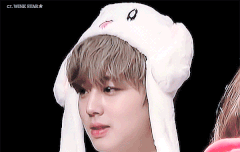 윙토끼 귀 퐈퐈+