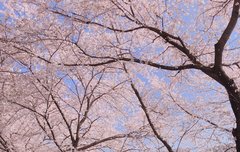 목격담 또떴따!!!!!! ㅜㅜㅜㅜㅜㅜㅜㅜㅜ