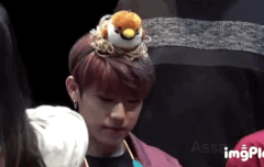 ❤️^^참새 4마리^^❤️