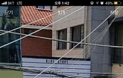 다들 목격담 오늘 봤지..?