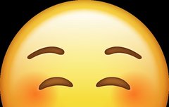 꼬야들 고맙꼬☺