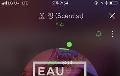 별빛 타팬 왔어용☘️