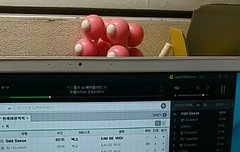 어제 쇼케 스탠딩간사람