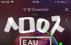 카1톡에 음악 설정하는거 반영돼?