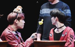 참참참 하는 참새