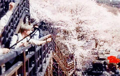 와 이거 영화다 진짜 청춘영화