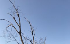 짐니모하니?? ㅋㅋㅋㅋㅋㅋㅋ퇴근시간이 다가온다