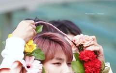 이거 진심 댕댕이같지 않오?