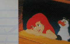 사담)부리모양있음