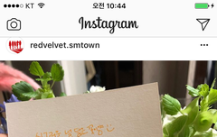 레드벨벳 인스타 & 인스타스토리ㅋㅋㅋㅋ