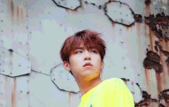 ㅆㅔㅆㅣ 안올라와성