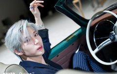 레오님은 언제나 아름다우심