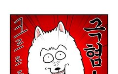 이번 공방포카 너무한거아냐;;