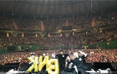 콘서트 가고싶다