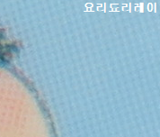 사담)장수 동물