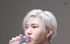 레오님 물마시는 모습 커엽