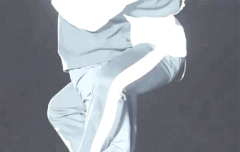 우짐닝 원숭이얌? 코알라얌? (ㅌㅁㅈㅇ)